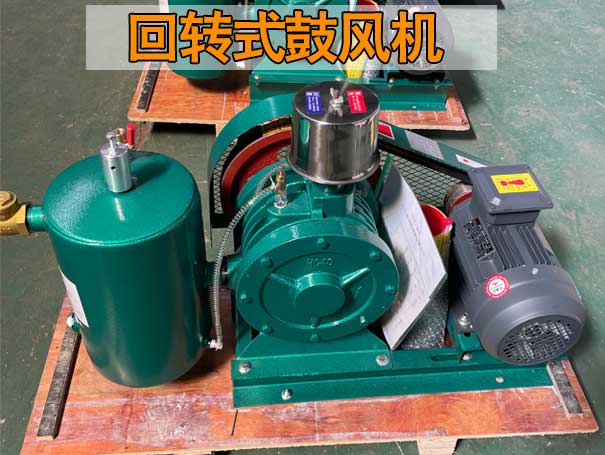 回轉式風機與羅茨風機在性能上有哪些差異？